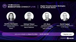 Digital Transformations Strategies for the Public Sector