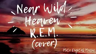 REM -  NEVER WILD EVEN (COVER)