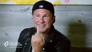 Must Watch Music Documentaries - The Coda Collection