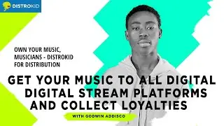 How To Upload A Song To The Stores | Start To Finish & What To Expect | Distrokid