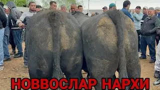 16 апреля 2024 г АНДИЖОН ШАХРИХОН ЧУЖА МОЛ БОЗОРИ НОВВОСЛАР ХУНАЖИНЛАР НАРХИ ANDIJON SHAXRIHON CHÒJA