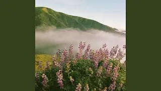 Paz e Flora