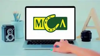 Обзор МСЛ
