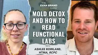 Mold Detox and How to Read Functional Labs with Ashlee Rowland