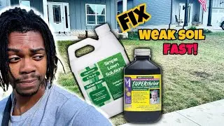 HOW TO FIX WEAK SOIL | BEGINNERS! |
