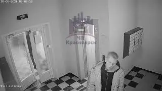 Драку в лифте устроила супружеская пара в Красноярске
