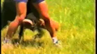 Security Bloodline GSD's