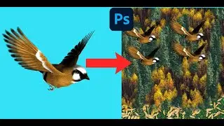 adobe photoshop tool use | photoshop tutorial