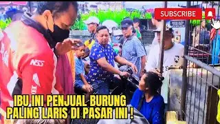 IBU INI PENJUAL BURUNG PALING LARIS DI PASAR INI!#kicaumania #kicau #burung #burungkicau #vlog #fypシ