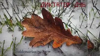 Диктатор ДУБ.АКТУАЛЬНО! ДИКТАТОР. ДИКТАТУРА.