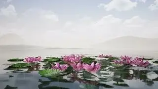 Lotus Lake | Videohive Project Templates