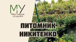 Обзор питомника Никитенко