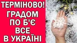 ПОГОДА НА ЗАВТРА : ГРАД ТА ДОЩІ НАКРИЮТЬ УКРАЇНУ