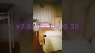 Сдам комнату на долгосрочку.