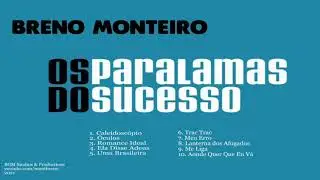 Os Paralamas do Sucesso Instrumental 2021 - Por Breno Monteiro