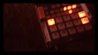 My cat making a beat on the sp 404