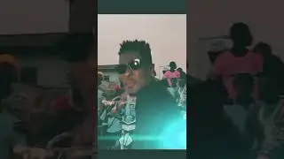 ShattaWale-Shatta Montes