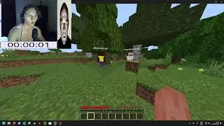 mind craft speedr