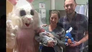 Easter Bunny Foundation