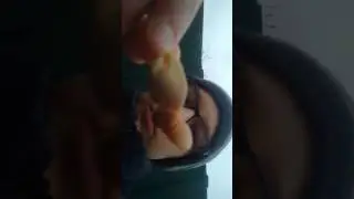СМЕРТЬ БОГИНИ ОКЕАНА 😢😢😣😮♨