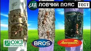 ЛОВЧИЙ ПОЯС от муравьев и тли AEROXON BROS БАШИНКОМ