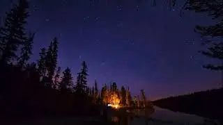 Звуки ночного леса для сна и отдыха - сверчки, костер, сова 🎶 Nature sounds