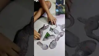 Puzzles - Camp Creature