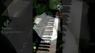 На синтезаторе Ямаха psr-sx700 Белые розы