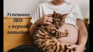 Беременность после первого ЭКО, как мне это удалось?