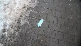 Ковидотеррор. Начало 2021 и перспективы.