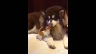 с днём труда