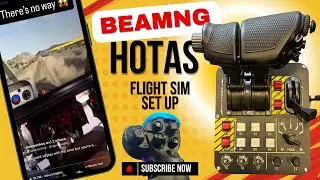 BEAMNG HOW TO SET UP FLIGHT CONTROLS (HOTAS)