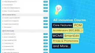SAP Commerce HYBRIS Online Training by Professionals Certified SAP Commerce Business Users