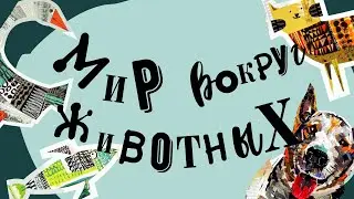Все самое интересное о выгуле собак и Догситтерах ! "Я гуляю без хозяина" КЗВС.  Выпуск 1