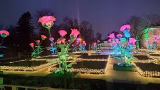 Варшава перед Рождеством