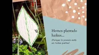 ¡CUMPLIMOS 3 AÑOS!