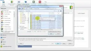 Merging TMs in SDL Trados Studio