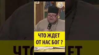 ЧТО ЖДЕТ ОТ НАС БОГ? Священник Олег Стеняев 