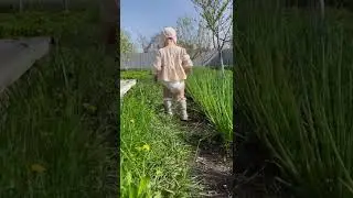 Можно ли носить подгузники летом? Да! Noopii для самой нежной кожи