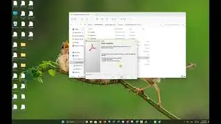 Adobe Acrobat 11