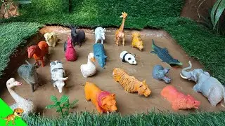 Farm Animals Adventure & Wild Expedition in Sandbox | Learning Through Fun