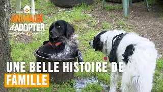 Une belle histoire de famille - Animaux À Adopter