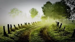 Backing Track Western Style