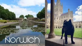Dog friendly attractions in Norwich