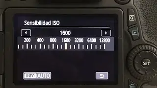 Conceptos esenciales: La Sensibilidad ISO