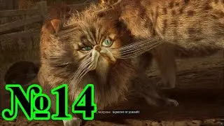 Hogwarts Legacy - Ловим живность №14