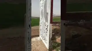 stone
