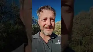 Shocked by a 250W 60 Cell 12V solar module