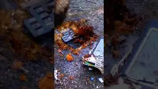 Hit with a sledgehammer on the phone Crash test 