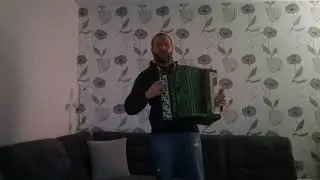 игра на баяне. 